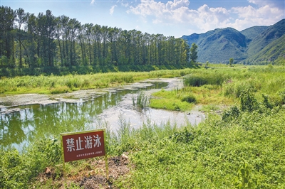 怀九河 涓涓细流汇成生命之水