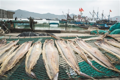 石浦镇渔港海边晾晒的海鲜.